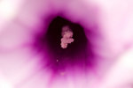 IMG_0709s