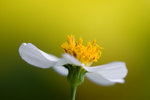 IMG_0731es