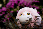 IMG_0835es