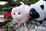 IMG_0852es