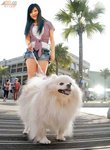 050411_orientaldaily1
