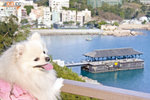 270311_thesun1