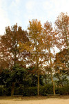 CRW_0341a