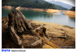 snap-16-feb-06-c