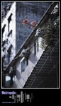 Metro206