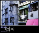 Metro217