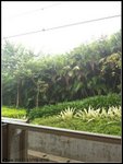 IMG_1282