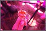 P1129083