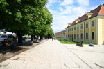 IMG_2866