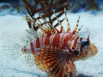P6150945