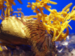 P6150978