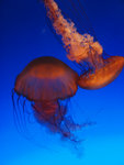 P6150979
