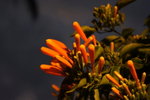 DSC00219