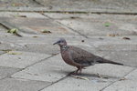IMG_5901