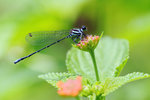 rDSC_4484