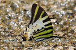 rDSC_4514