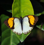 rDSC_4616