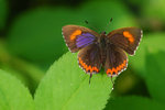 rDSC_7270