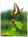 
�C��#3