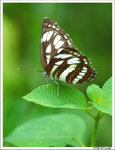 rDSC_7340