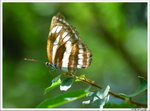 rDSC_7359