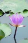 DSCF9276_resize