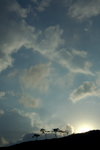 _DSC2366r