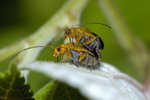 _DSC0551r