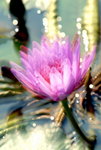 DSCF0441