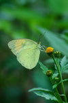 rDSC_4719