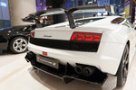 rDSC_1733
