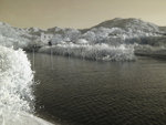 rIMG_0856