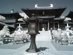 rIMG_9516