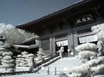 rIMG_9551
