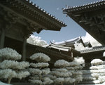 rIMG_9561