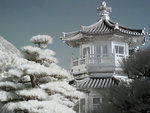 rIMG_9589