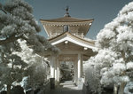 rIMG_9606