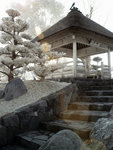 rIMG_9625
