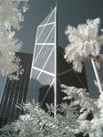 rIMG_0900