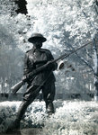 rIMG_0943