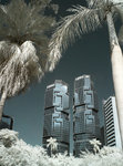 rIMG_0955