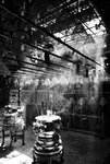 DSC_5833a