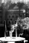 DSC_5860a