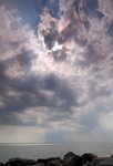 _DSC2995a