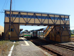 rDSCF1649