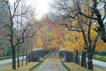 DSCF0544