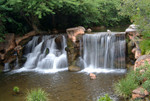 DSCF1448