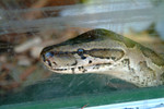 DSCF1691