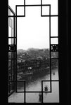 rDSC_0163
