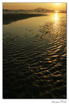 img10a_5239
